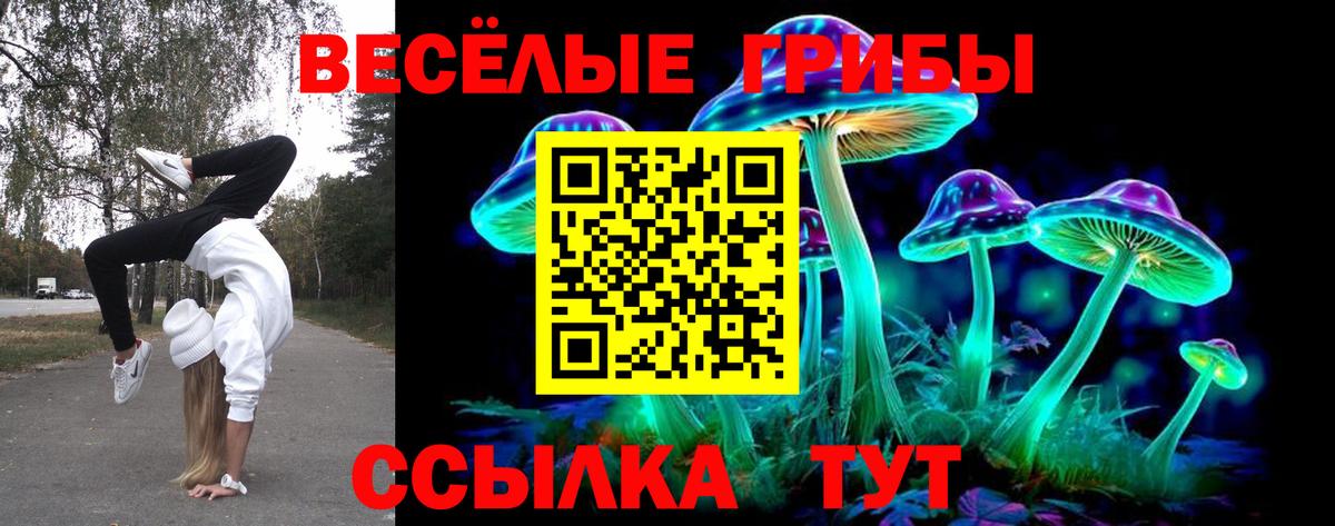 Псилоцибиновые грибы GOLDEN TEACHER  Псилоцибиновые грибы мухоморы  Камышин  Вход с VPN 